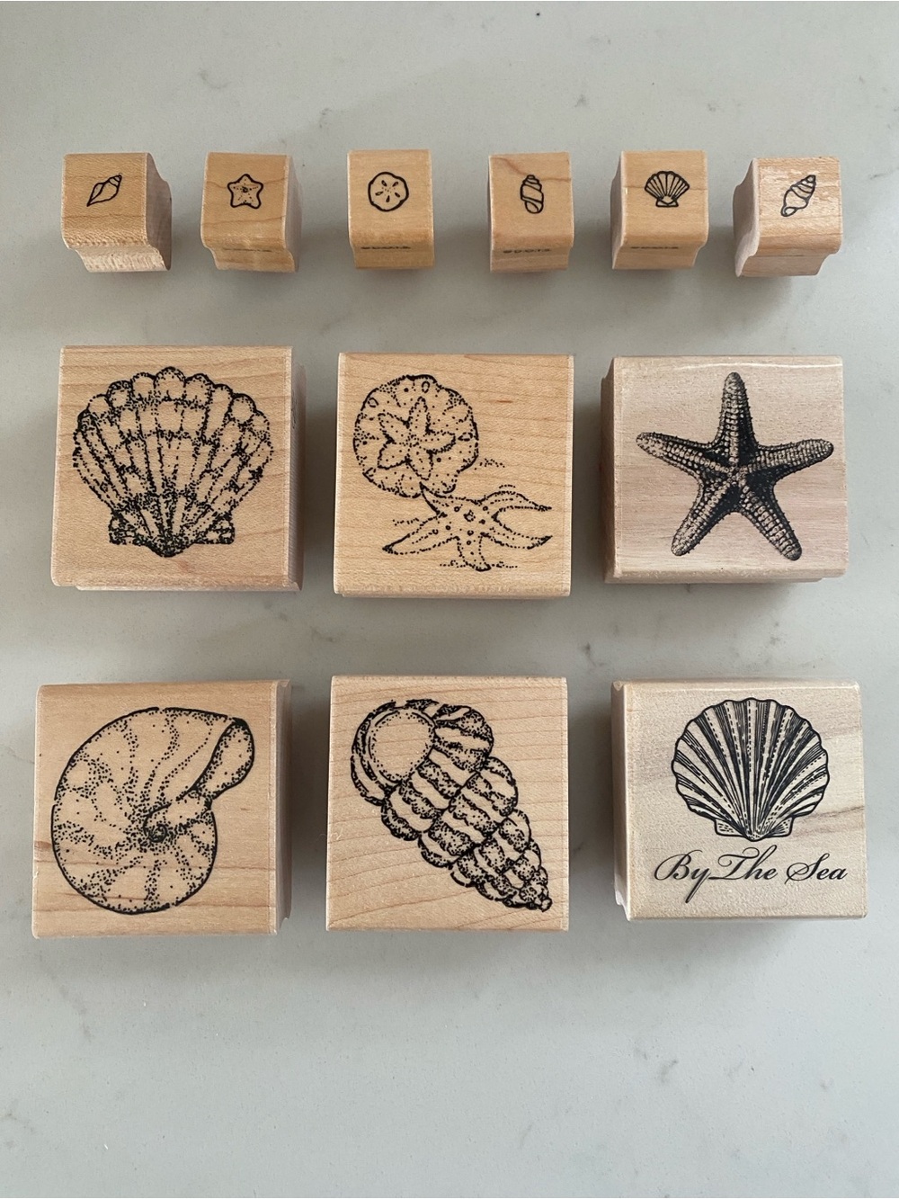 Sea Shell Wooden Stamp Set - Natural Wood